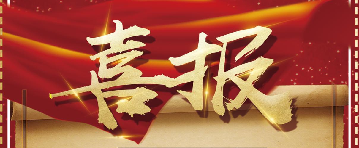 蜘蛛池站群软件外推